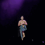 wild 07.gif