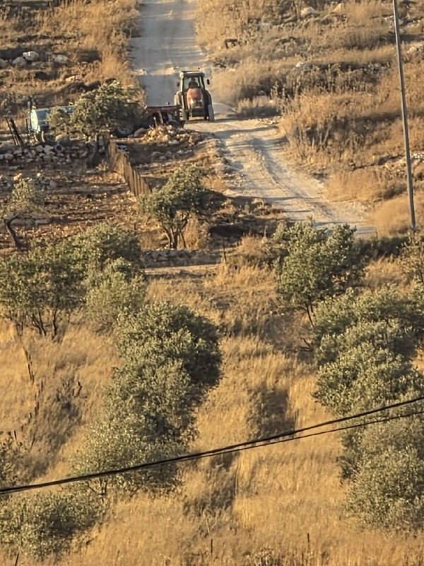 مستوطنون يستولون على محصول القمح في سهل بيت فوريك شرق نابلس، ويقومون بحصاده وتحويله إلى بالات قش....