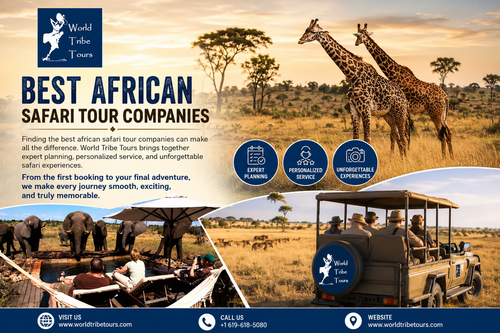 Best African Safari Tour Companies.png