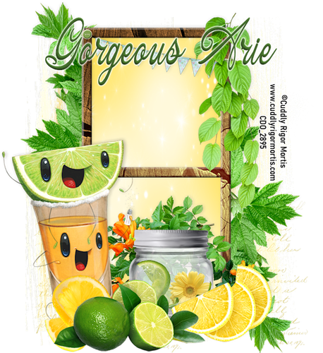Gorgeous Arie 2026Freshly Squeezed CRM