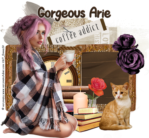Gorgeous Arie 2026Espresso Tales VM.png