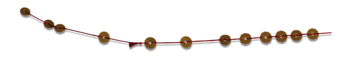 fgx.png