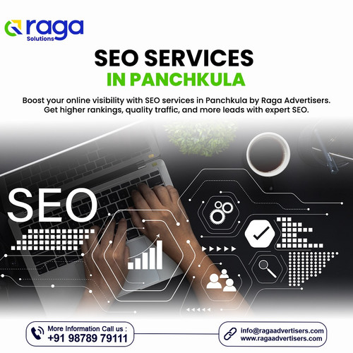 SEO Services in Panchkula.jpg