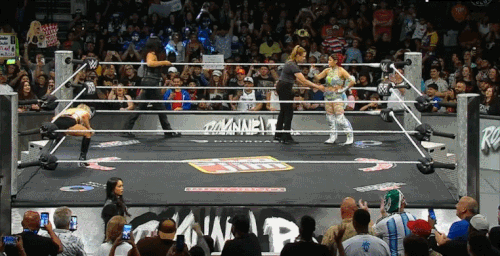 GIF 7 13 2026 7 23 33 PM.gif