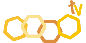 logo alcarria tv letras blancas 300x150.png