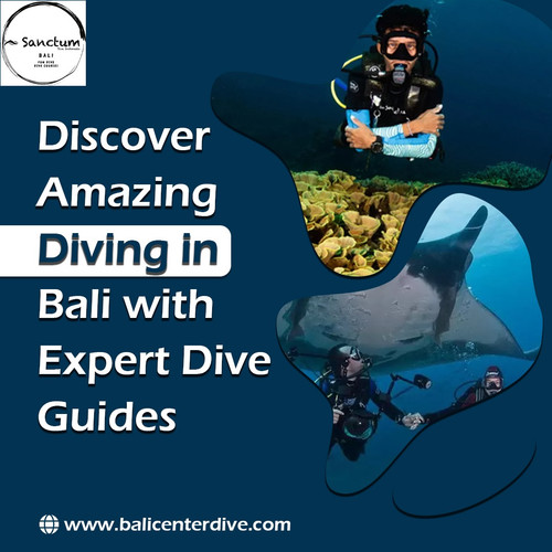 Discover Amazing Diving in Bali with Expert Dive Guides.jpg