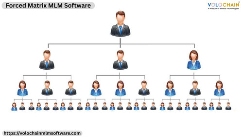 Advanced Forced Matrix MLM Software for Faster Business Growth.jpg
