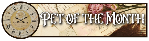 timeworn treasures pet of month.png