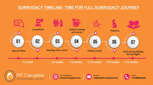 Surrogate Mother Cost in Georgia.png