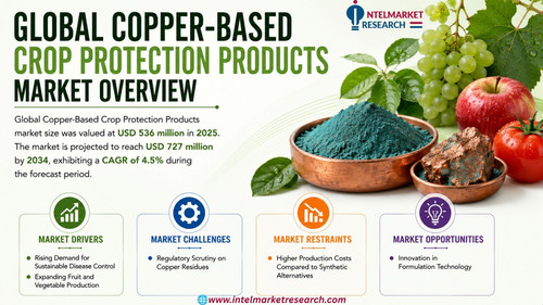 httpswww.24lifesciences.com 2026 07 14T141917.892.jpg