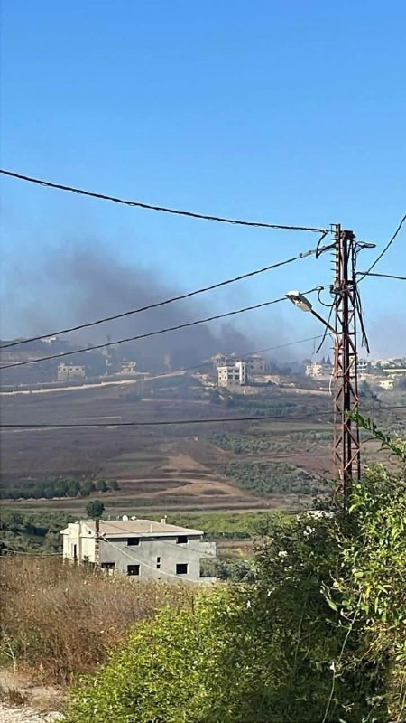 صورة الخبر
