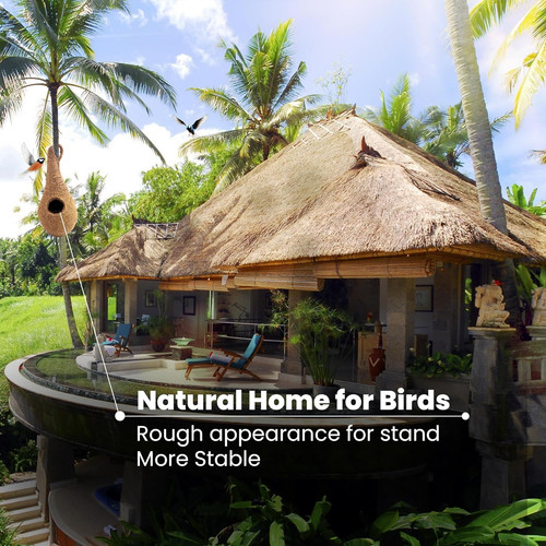 Buy sparrow nest for home.jpg
