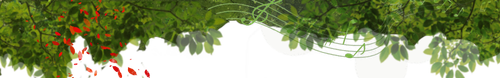 1000133742.png