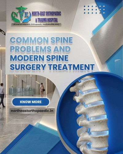 Common Spine Problems and Modern Spine Surgery Treatment.jpg