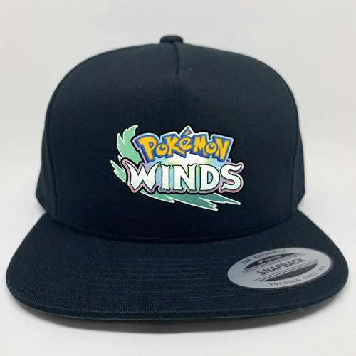 Snapback Hat 09 Black.jpg