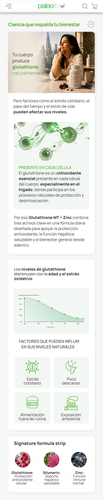 Informe ORAC Glutathione02.png