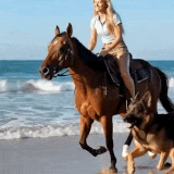 IMG 6666.gif