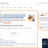 citrus park it consulting services 1st and AI