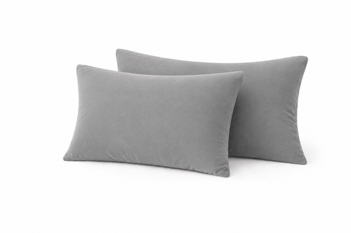 Silver Grey 1.png