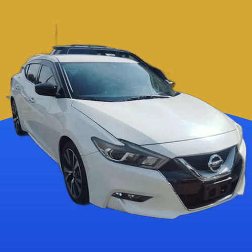 10kautos 1N4AA6AP8HC397134.2