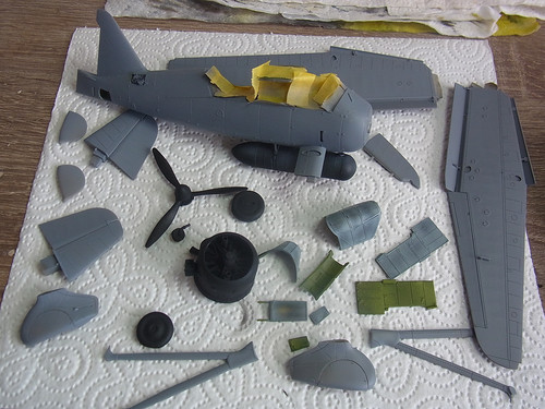 RIMG0001