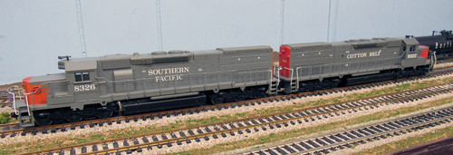 IMG 6217.jpg
