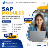 SAP Training Programs for Future IT Leaders at Visualpath