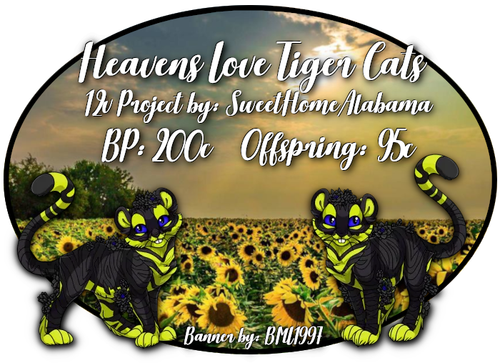 heavens love tiger cats.png