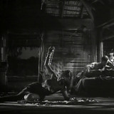 Cargamento blanco 1942 (5)
