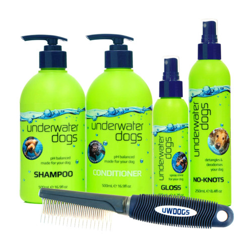 Best natural shampoo for dogs with itchy skin.jpg