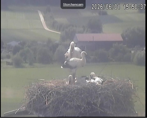 MWSnap788.jpg
