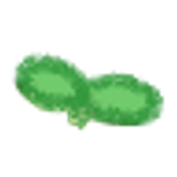 薄荷叶