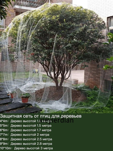 1780447888935.jpg