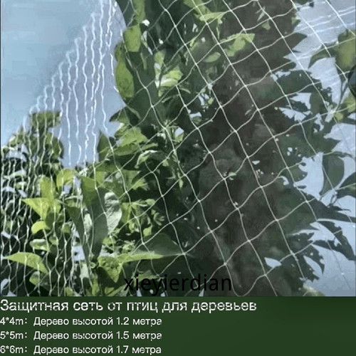 1780447888935.jpg