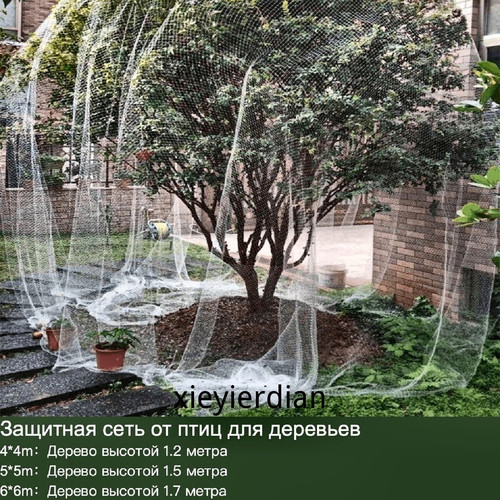 1780447888934.jpg