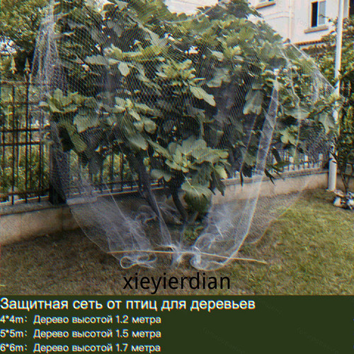 1780447888935.jpg