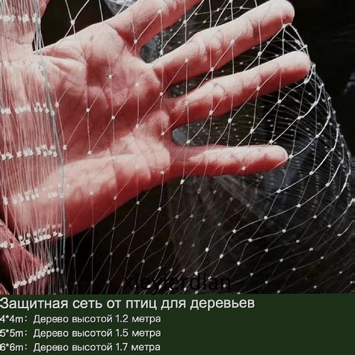 1780447888935.jpg