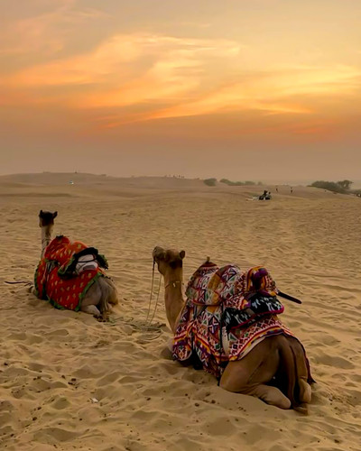 Best Desert Camp in Jaisalmer (2) (1).jpg