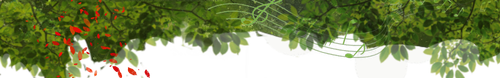1000133764.png