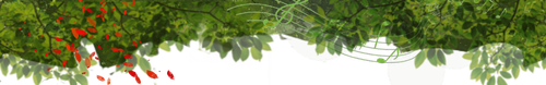 1000133766.png