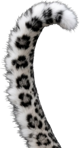 1000138672.png