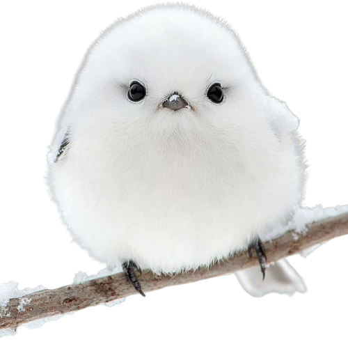 1000138695.png