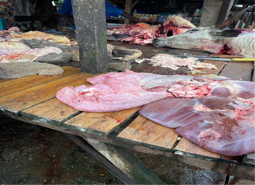 offals.png