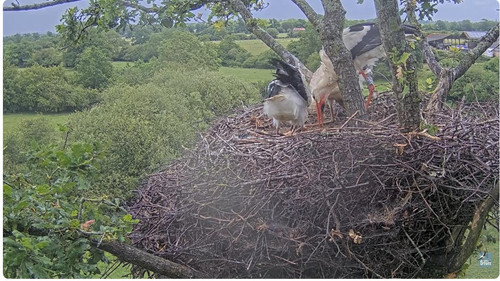MWSnap378.jpg