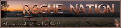 Chase Banner.jpg