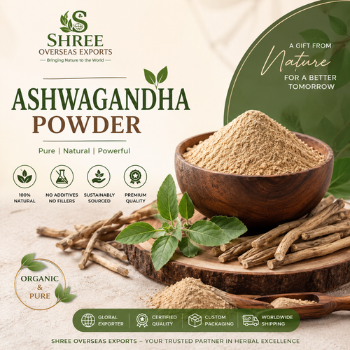Ashwagandha Powder Manufacturers in India A Complete Guide for Global B2B Buyers.png