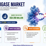 httpswww.24lifesciences.com 2026 06 02T105739.448