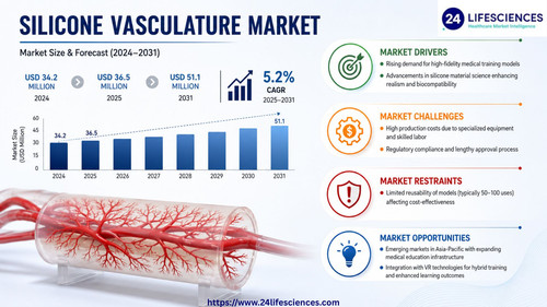 httpswww.24lifesciences.com 2026 06 02T105837.580.jpg