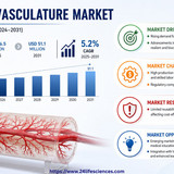 httpswww.24lifesciences.com 2026 06 02T105837.580