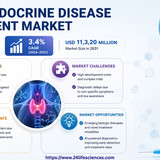 httpswww.24lifesciences.com 2026 06 01T020931.325